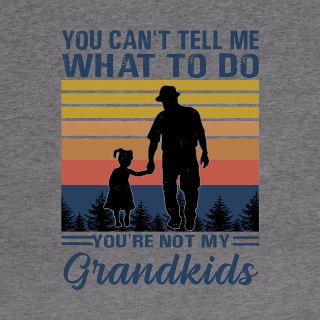 you can't tell me what to do you're not my grandkids by binnacleenta